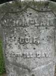 William McLain CO F 6 Illinois CAV