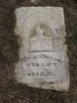 Richard Canaday Culley Civil War Veteran