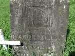 Marion Newman Civil War Veteran CO C 18 REG Illinois VOL